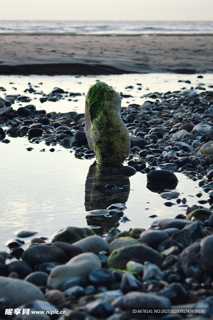 海岸边覆绿苔藓的独特石块