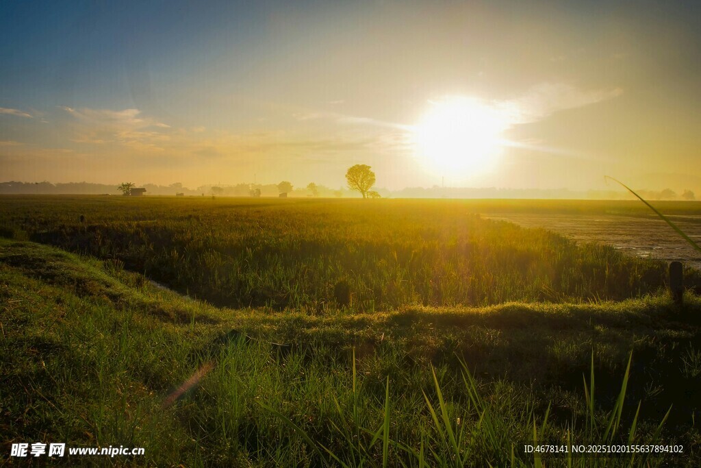 夕阳下的田野美景