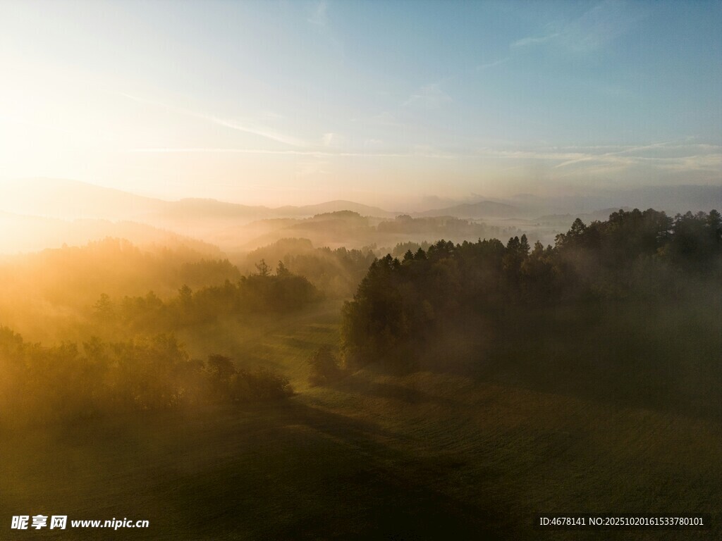 日出时分的雾中森林美景