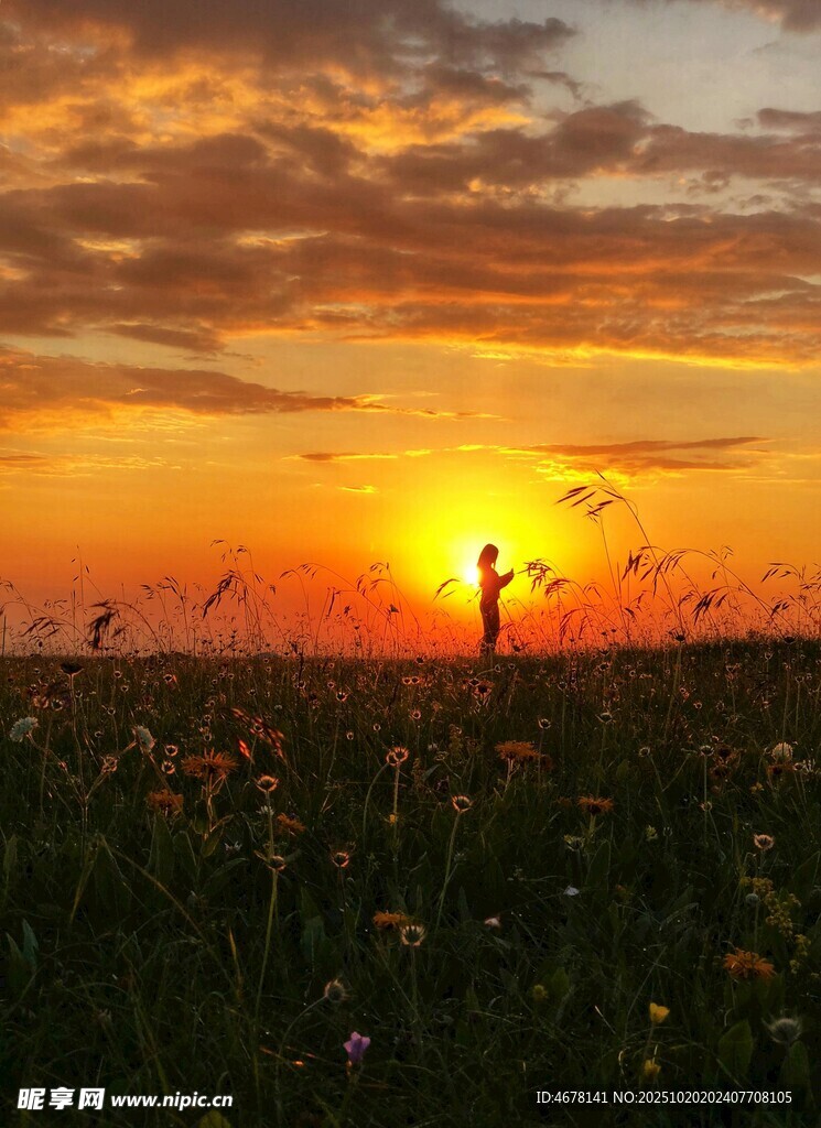 夕阳下田野中的孤独身影