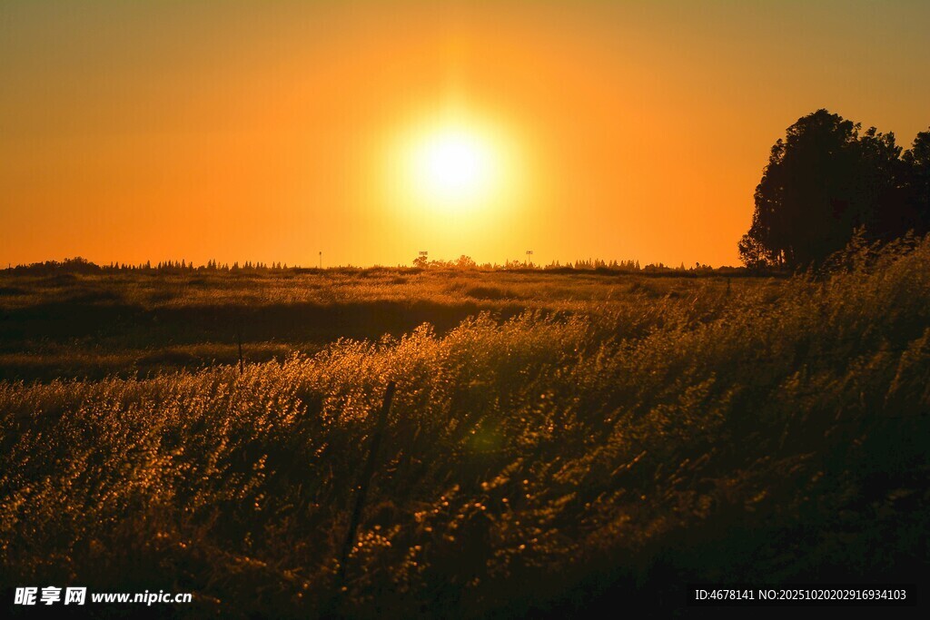 夕阳下的原野美景