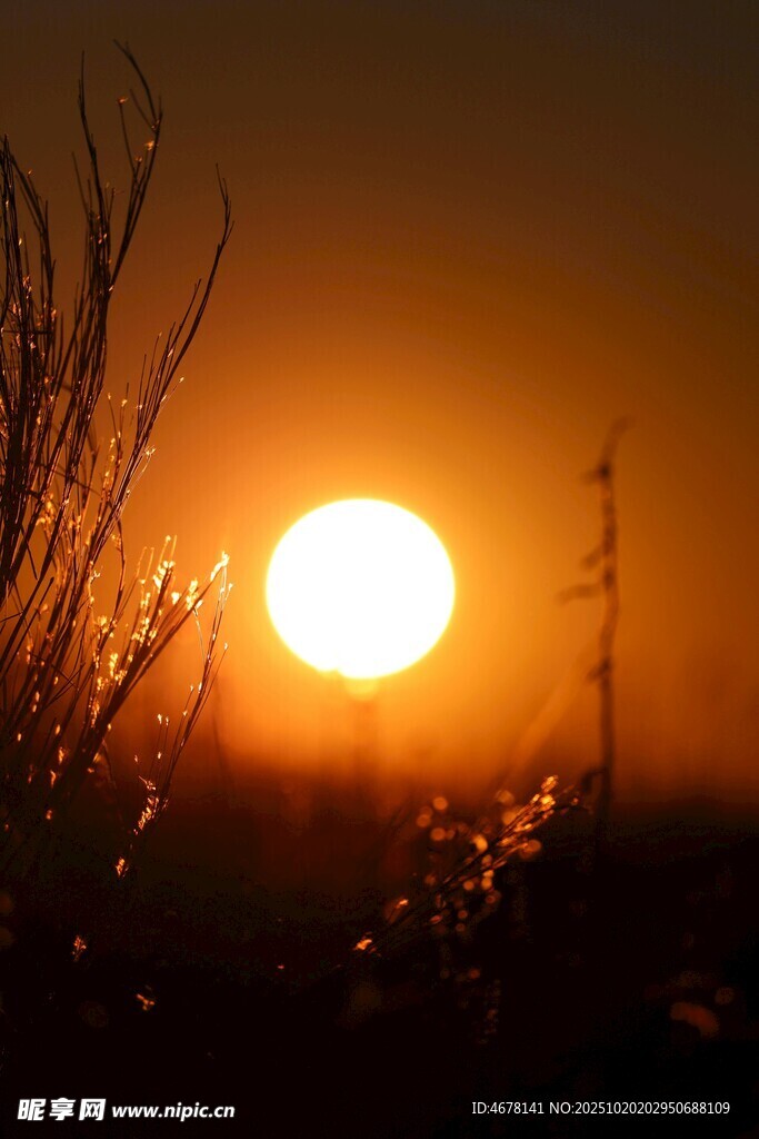 夕阳下的自然美景