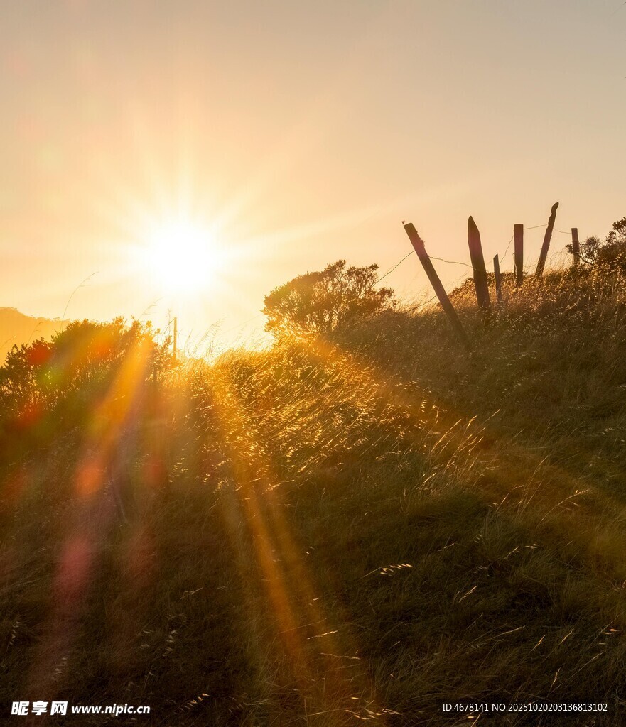 日出时分的田野美景