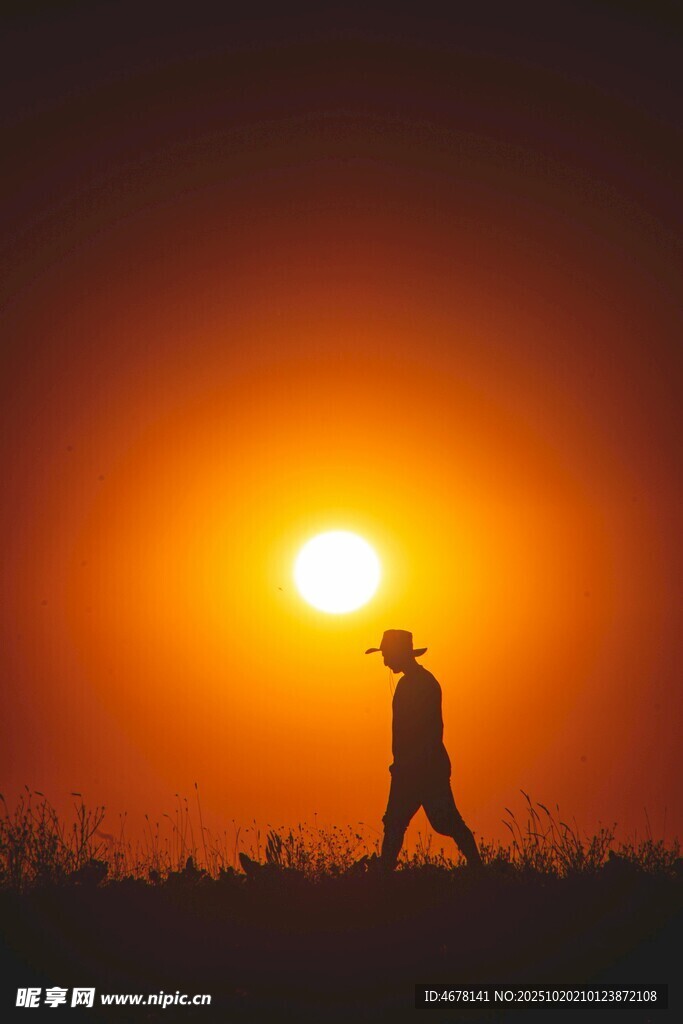 夕阳下的独行者