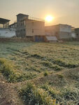 夕阳下的田野与房屋