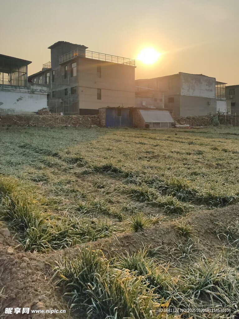 夕阳下的田野与房屋