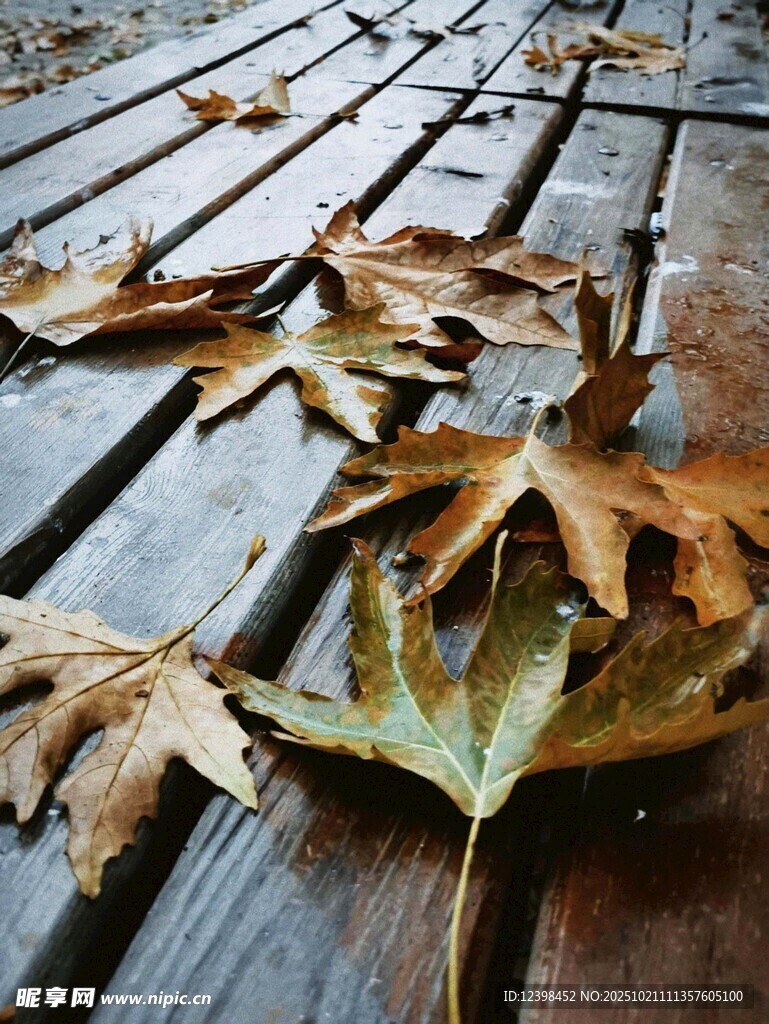 木板上的枯黄落叶