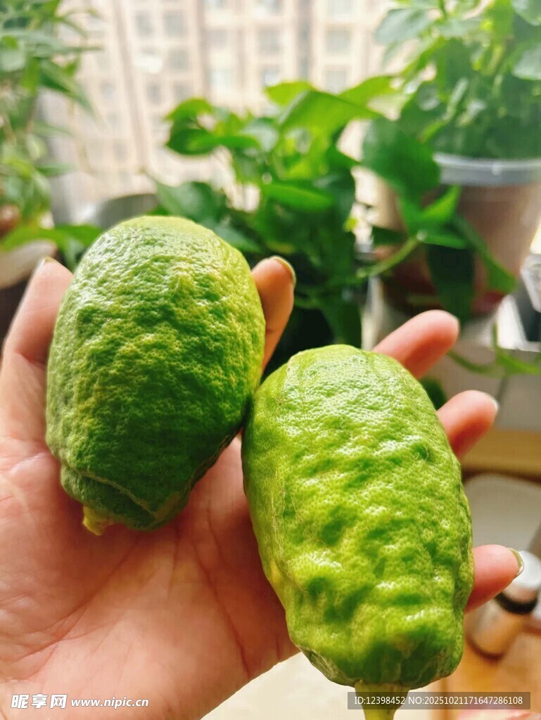 柠檬