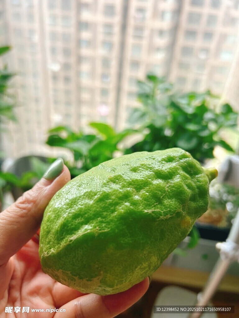 柠檬