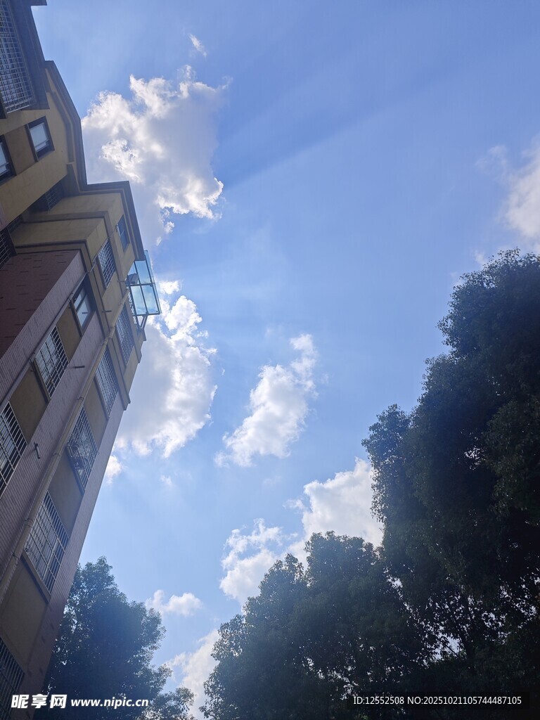 蓝天白云下的建筑与树木