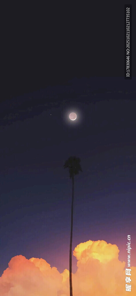 夕阳下的月亮与棕榈树