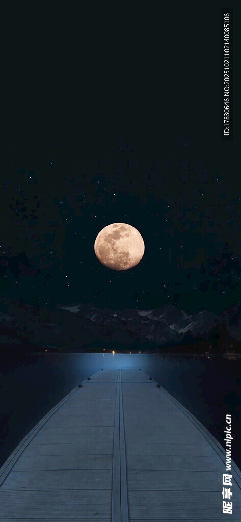 月夜下的静谧之路