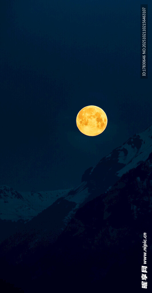 夜空下的金黄圆月