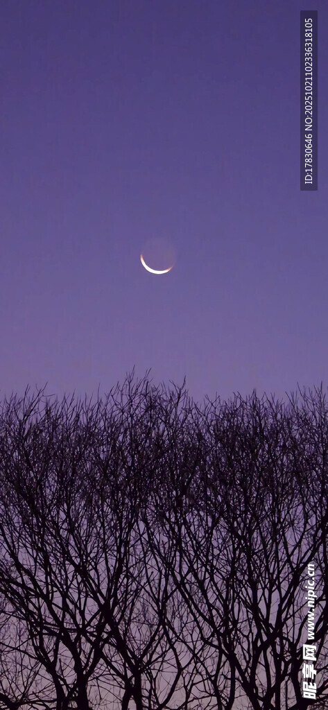 夜幕下的月牙与枯树林