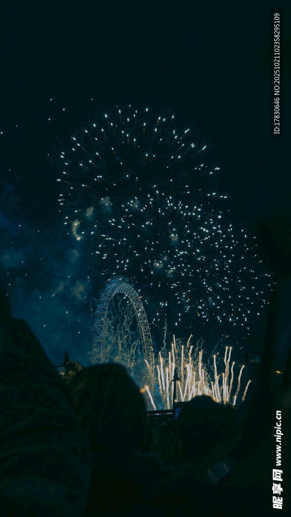 夜空中绚烂绽放的烟花