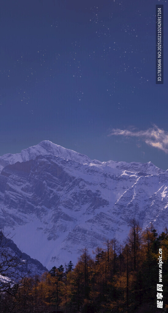 雪山森林暮色美景