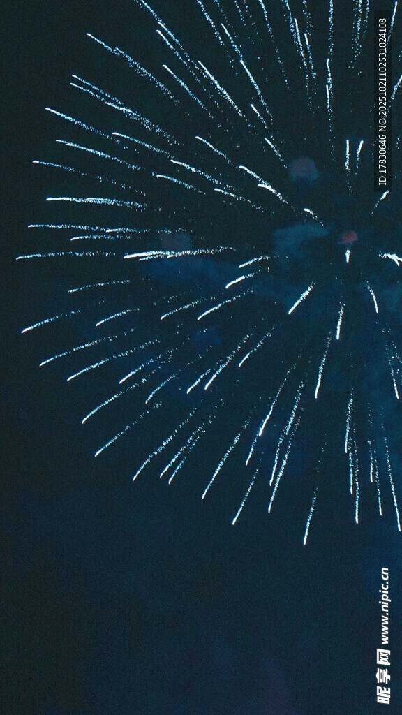 夜空中绽放的绚烂烟花