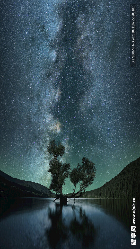 星空下的孤树与静谧湖水