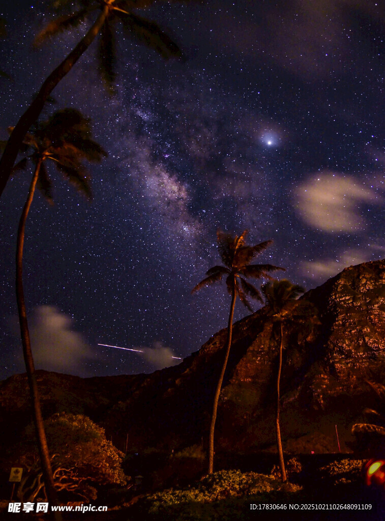 椰林星空下的静谧美景