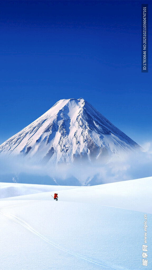 雪覆孤山天地间一抹红