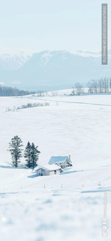 冬日雪景中的静谧乡村景象