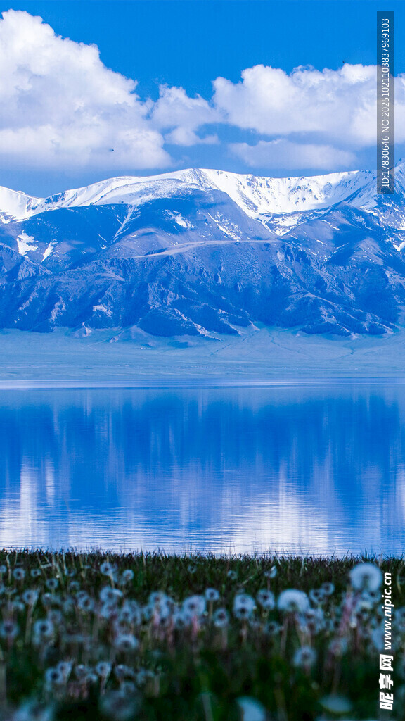 雪山下的静谧湖畔风光