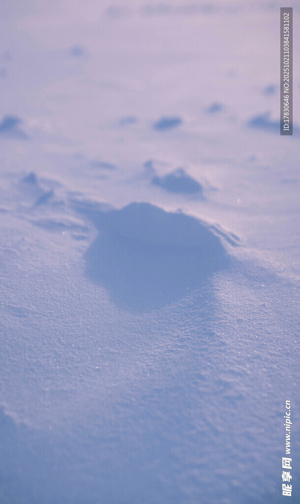 雪地中的柔和光影