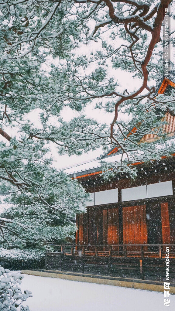 雪中古建松影相伴