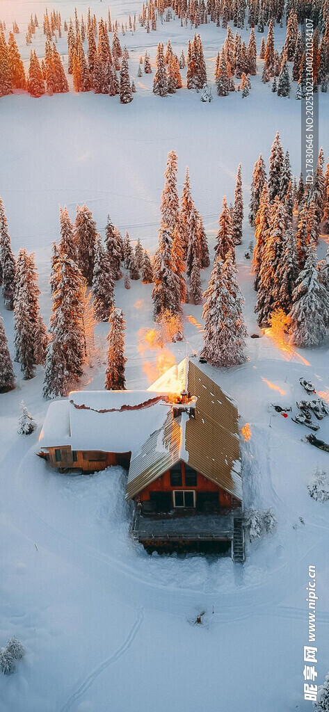 雪林中的温馨小屋