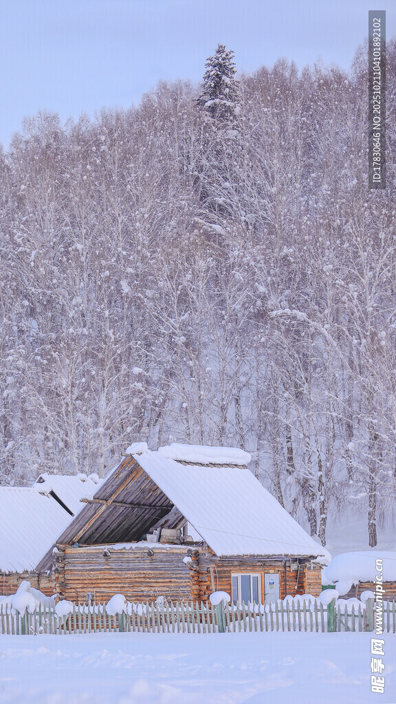 雪覆木屋的冬日静谧景象