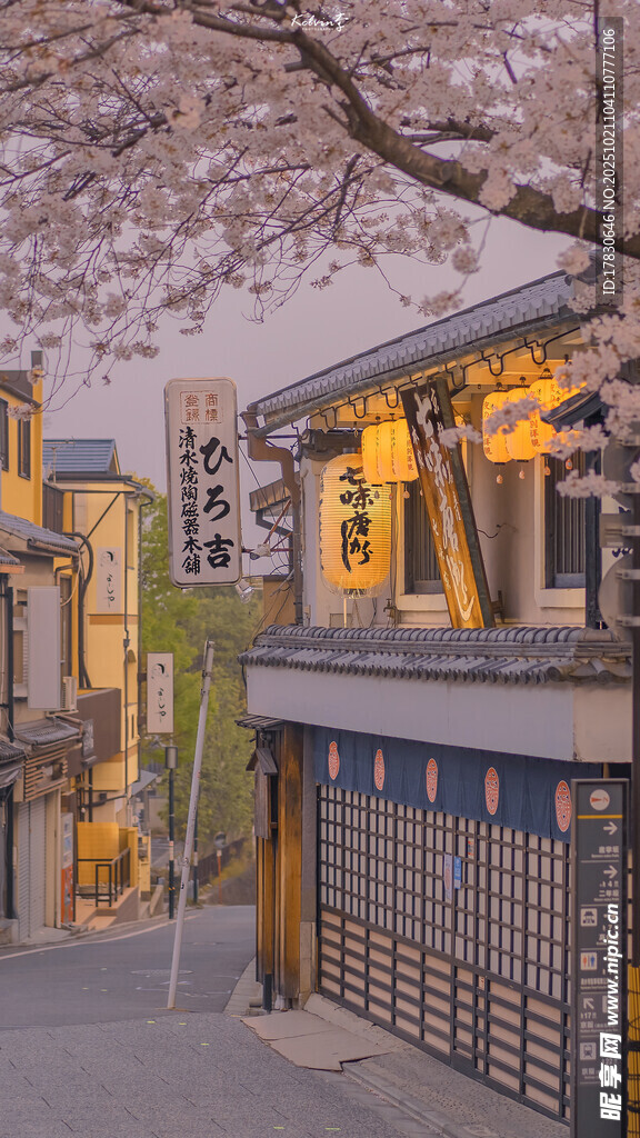 日式街景中的烂漫樱花