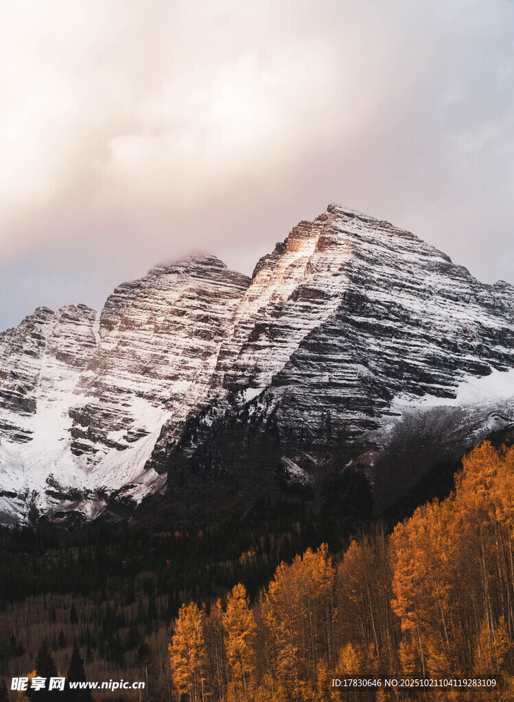 秋日雪山与金黄树林美景