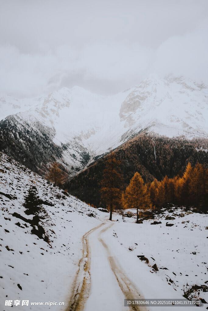雪覆山路山间美景