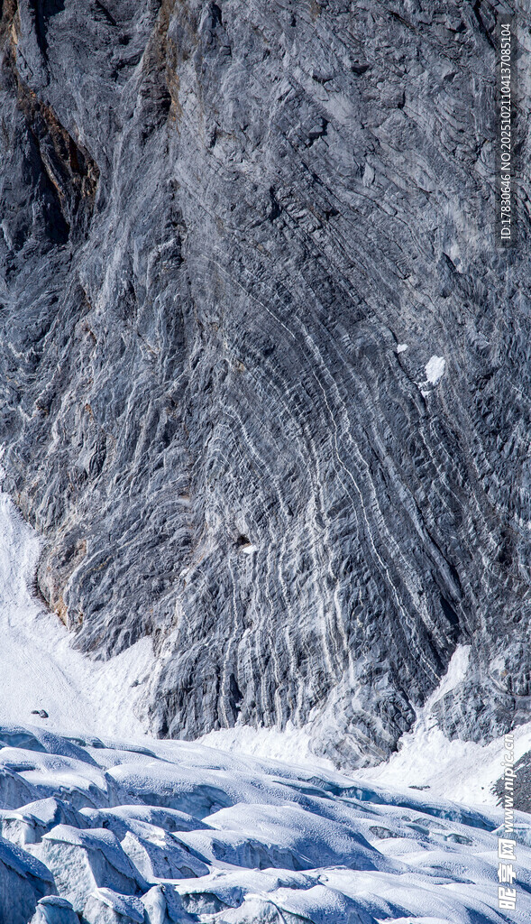 冬日雪覆松景