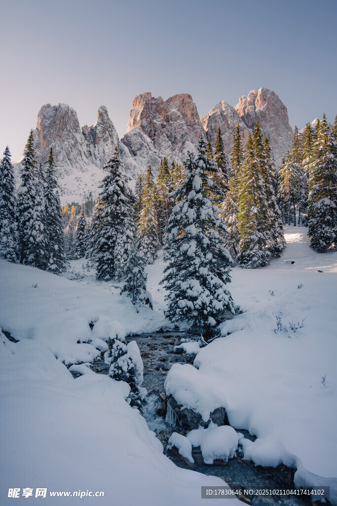 冬日雪覆山林溪流美景