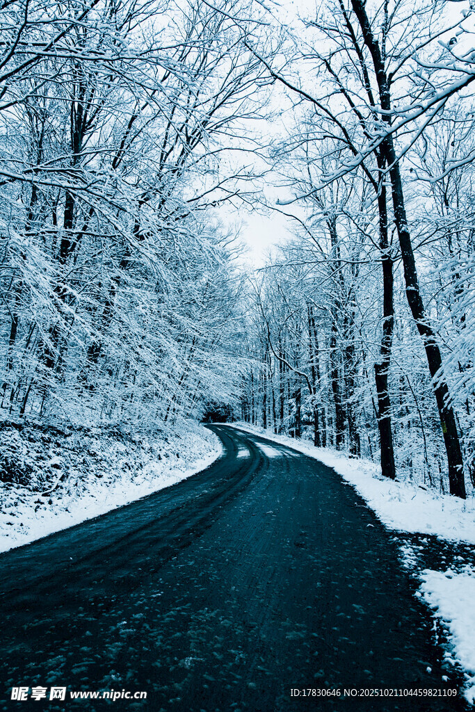冬日雪覆林间蜿蜒道路