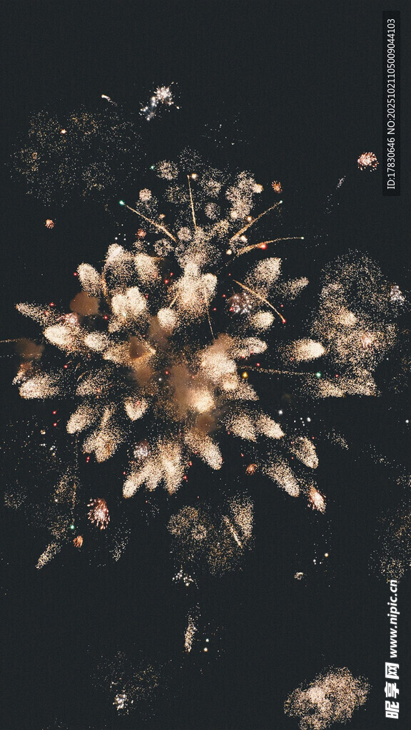 夜空中绚烂绽放的烟花