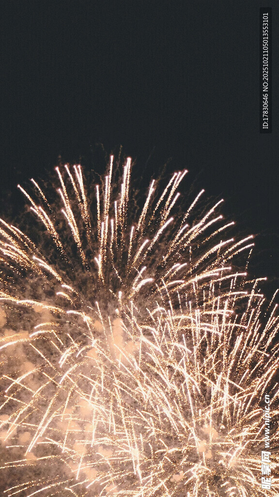 夜空中绚烂的金色烟花