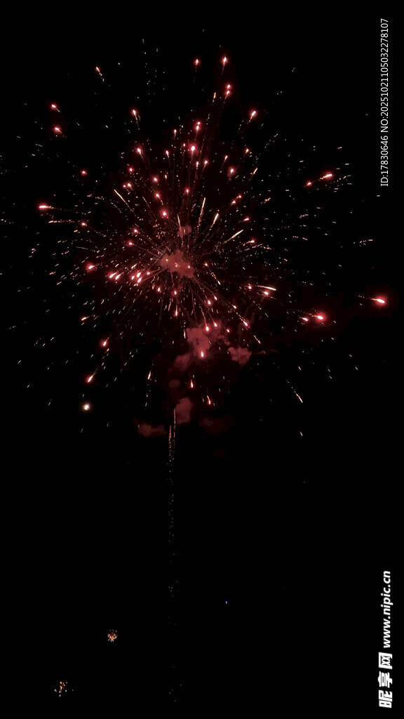 夜空中绚烂的红色烟花