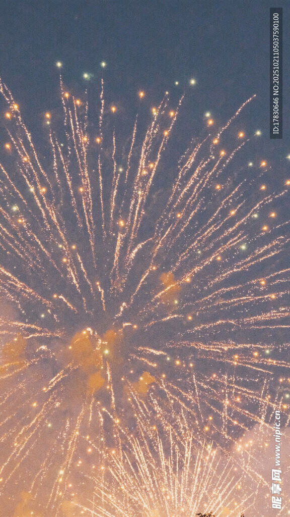 夜空中绚烂绽放的烟花