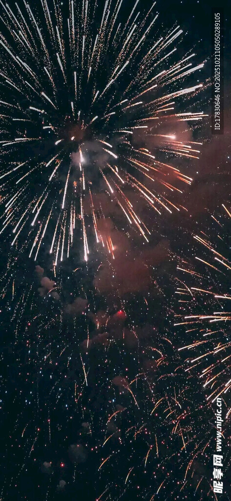 绚丽烟花绽放夜空