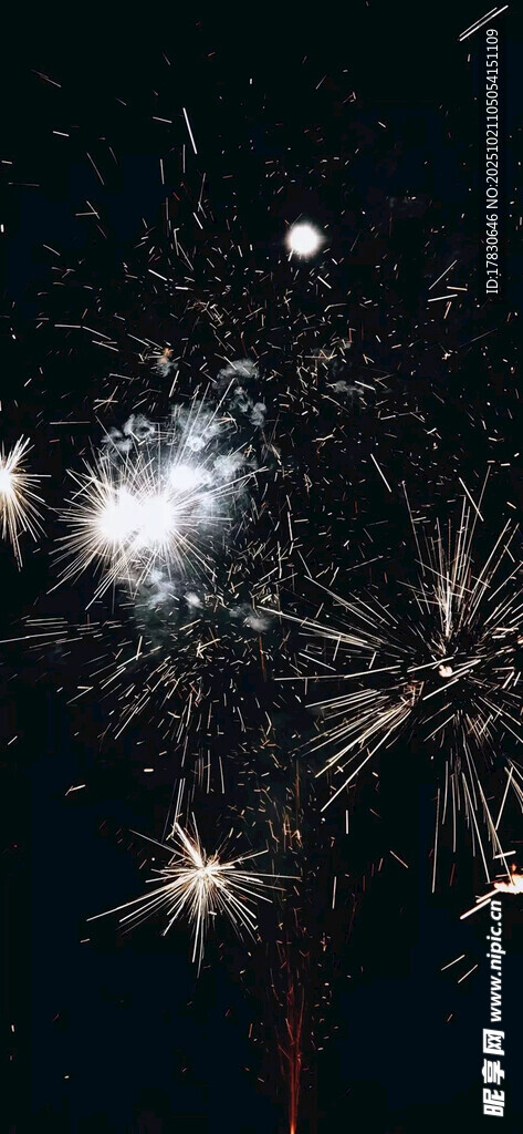 夜空中绚烂的烟花绽放