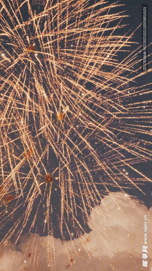 绚丽烟花绽放夜空