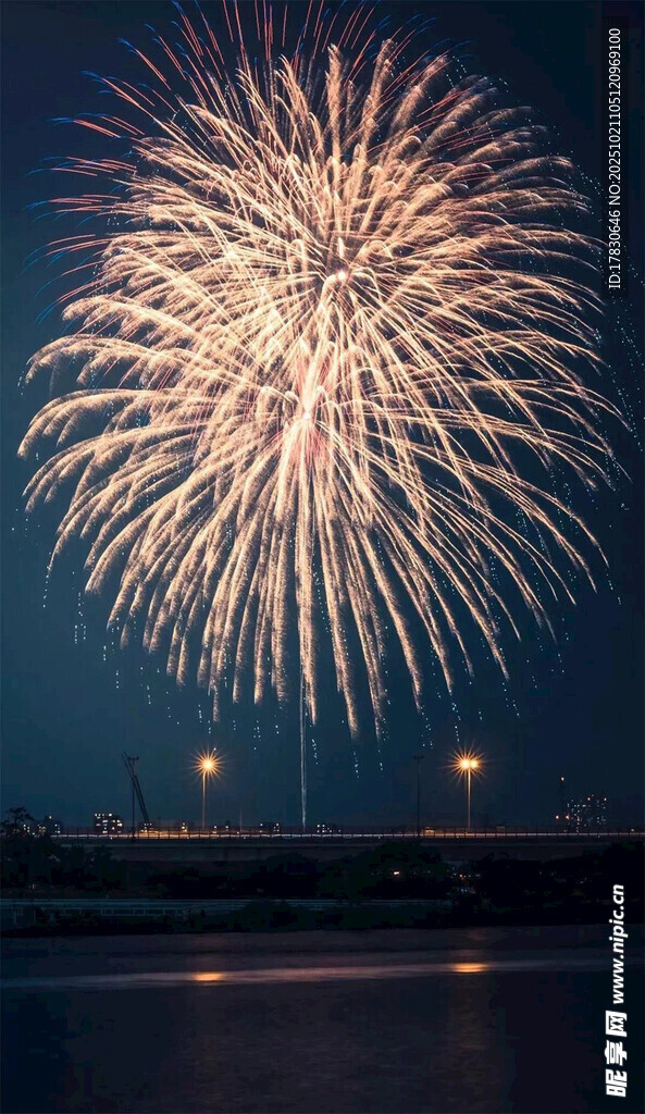 夜空绽放的绚烂烟花