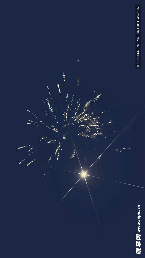 夜空中绽放的绚烂烟花