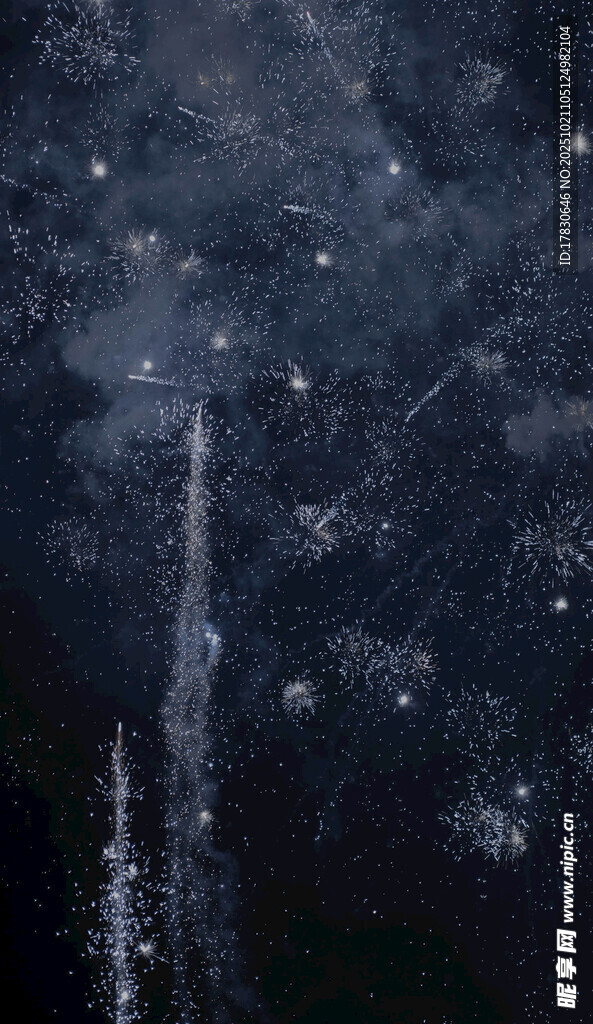 夜空中绚烂绽放的烟花