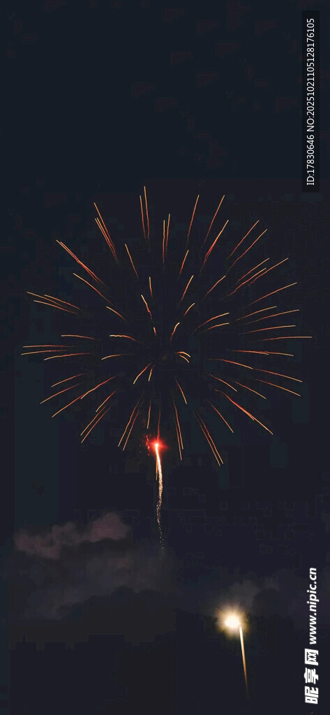 夜空中绚烂的烟花绽放