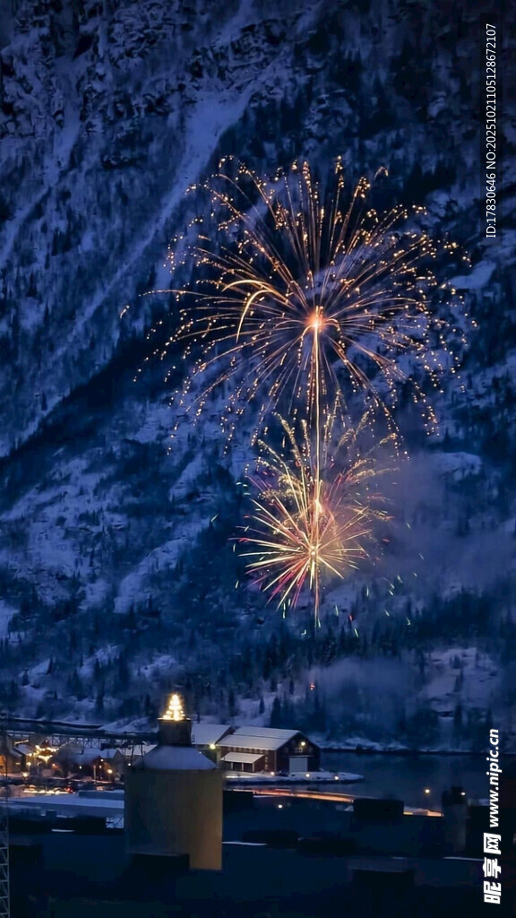 夜空绽放的绚烂烟花