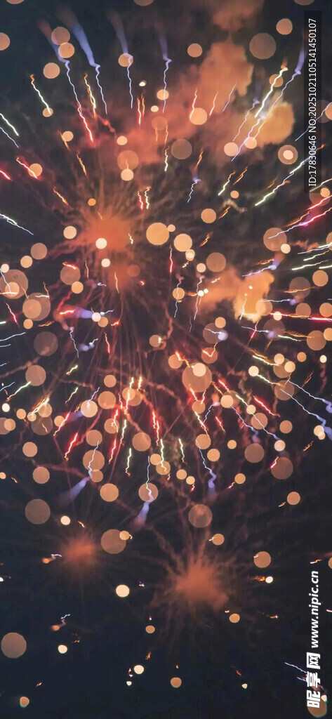 绚丽烟花绽放夜空
