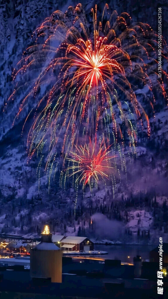 夜空中绚烂绽放的烟花